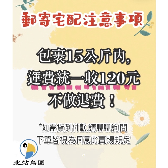 <北站鳥園>阿迷購Amigo / 棉繩甜甜圈中、小兩款 / 適用中、小鸚鵡-細節圖4