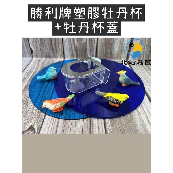 <北站鳥園>勝利牌塑膠牡丹杯 / 白鐵牡丹杯蓋 / 防潑灑-細節圖3