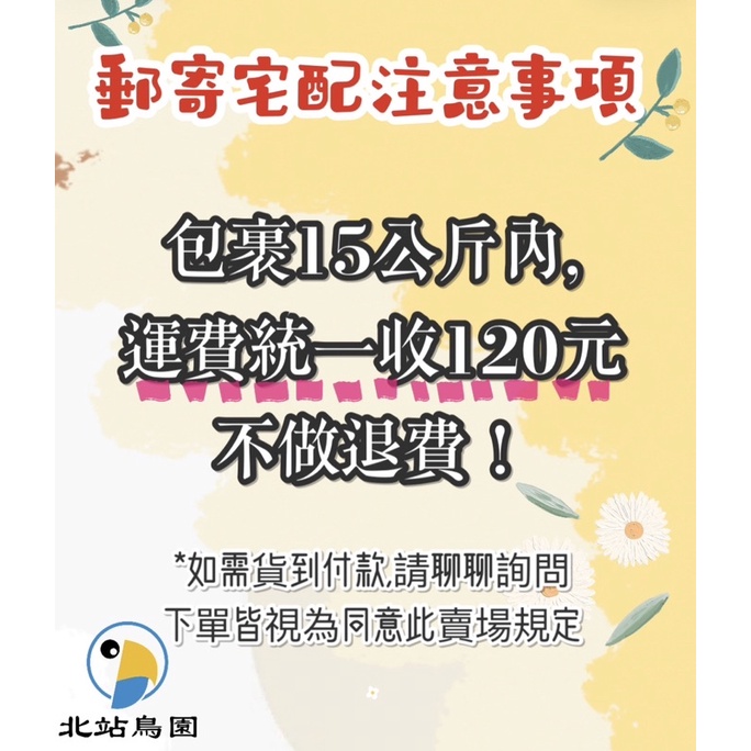 <北站鳥園>勝利牌塑膠牡丹杯 / 白鐵牡丹杯蓋 / 防潑灑-細節圖5