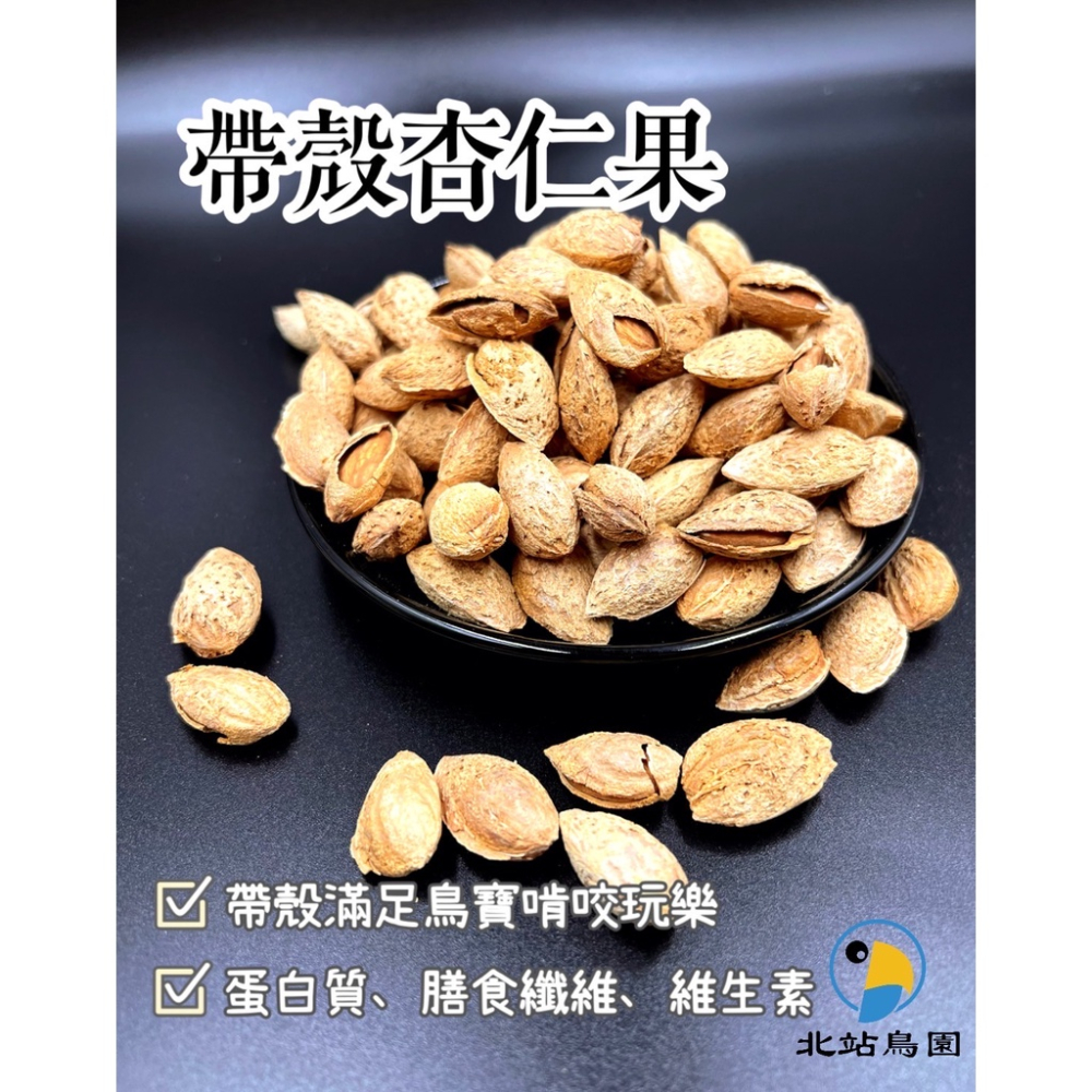 <北站鳥園>杏仁果有殼 / 堅果系列 / 鸚鵡、蜜袋鼯、松鼠可食用 / 分裝100g、300g / 寵物零食、訓練點心-細節圖2