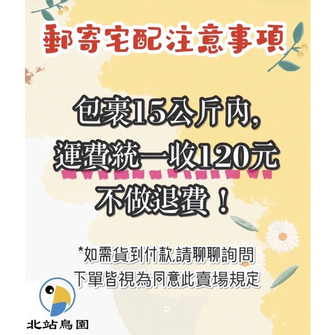 <北站鳥園>美而健蛋黃栗 / 觀賞鳥、鸚鵡、雀鳥科 / 鳥飼料 / 超取8包 / 480g-細節圖6