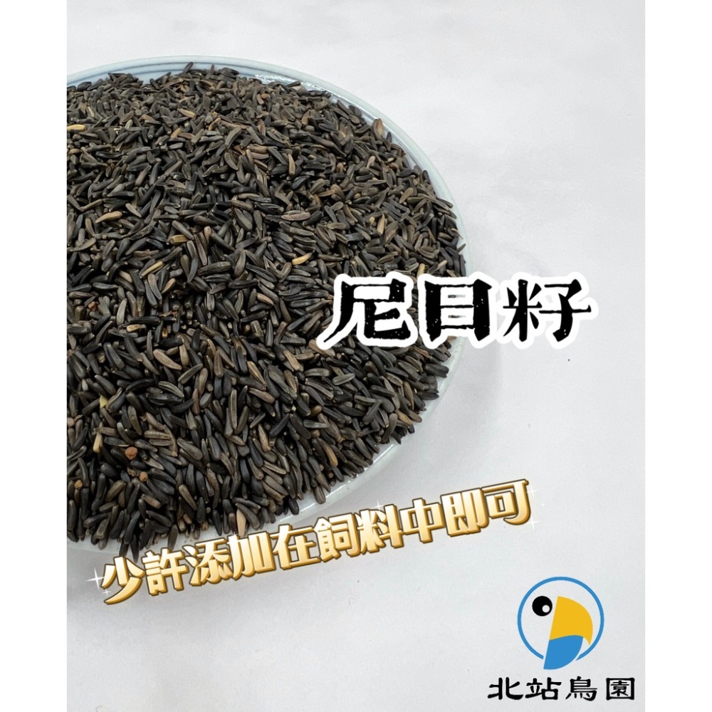 <北站鳥園>尼日籽 / 補充熱量、幫助換羽 / 鸚鵡、寵物鳥食用 / 分裝飼料 / 100克、300克 / 冷藏保存-細節圖3