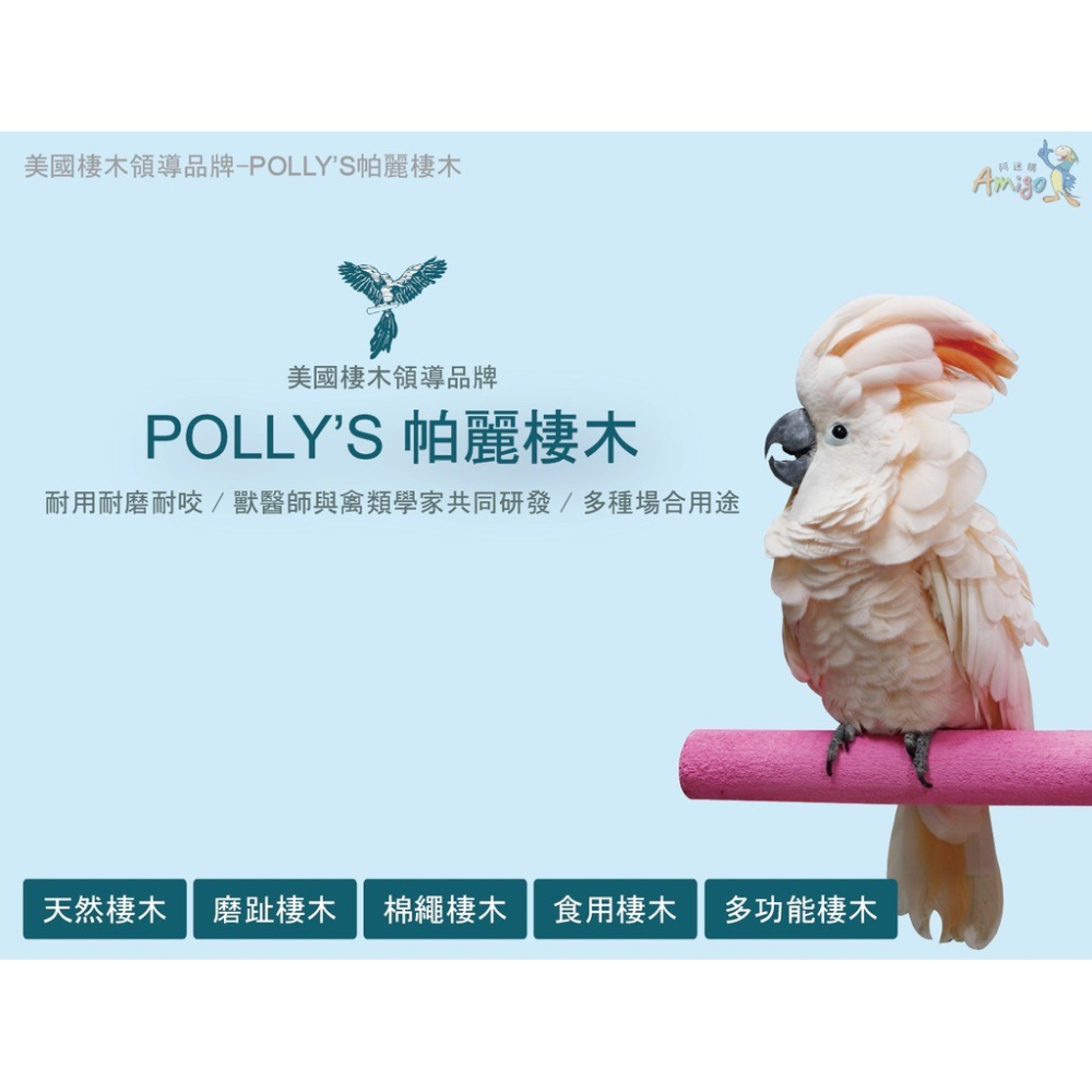 <北站鳥園>（口味顏色隨機出貨）Amigo阿迷購 / 帕麗Polly＇s / 花粉果味高鈣營養棒（小）-細節圖7
