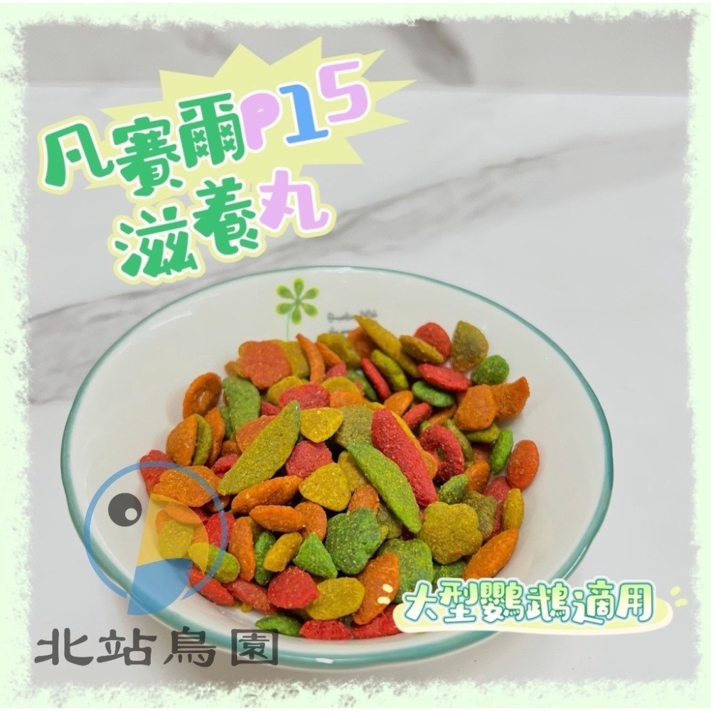 <北站鳥園>P15凡賽爾鸚鵡滋養丸 / 寵物鳥、大型鸚鵡用 / 輔助食品、幼鳥學吃 / 1kg、3kg-細節圖5