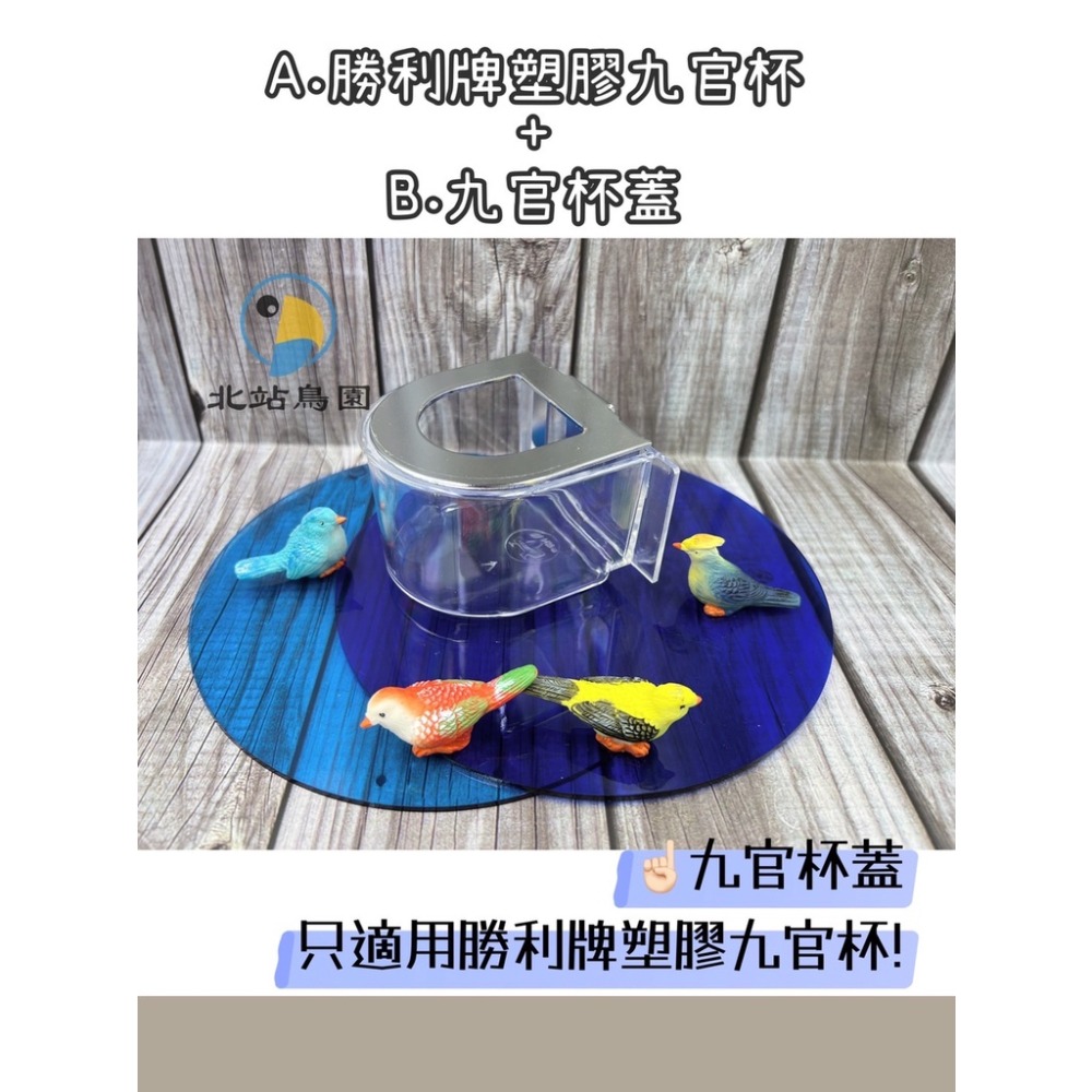 <北站鳥園>勝利牌塑膠九官杯 / 可加購白鐵九官杯蓋 / 此款杯蓋只適用勝利牌九官杯-細節圖3