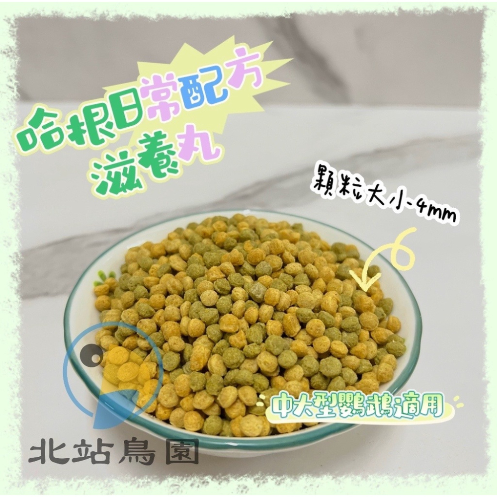 <北站鳥園>（效期2023.12月）哈根 Hagen Hari （日常一般）配方鸚鵡滋養丸4mm / 820g-細節圖2