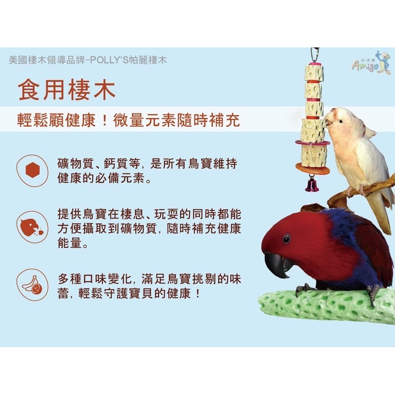 <北站鳥園>Amigo阿迷購 / 帕麗Polly＇s / 趣味仙人掌（小）-細節圖4