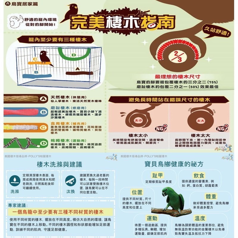 <北站鳥園>Amigo阿迷購 / 帕麗Polly＇s / 趣味仙人掌（小）-細節圖5