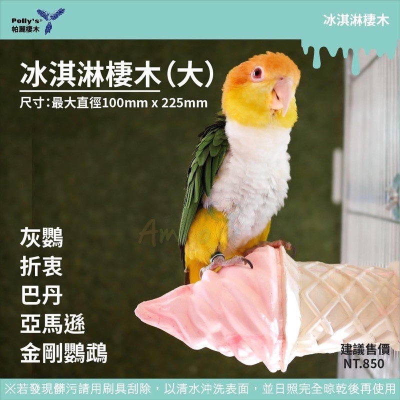 <北站鳥園>Amigo阿迷購 / 帕麗Polly＇s / 冰淇淋棲木（大）-細節圖5