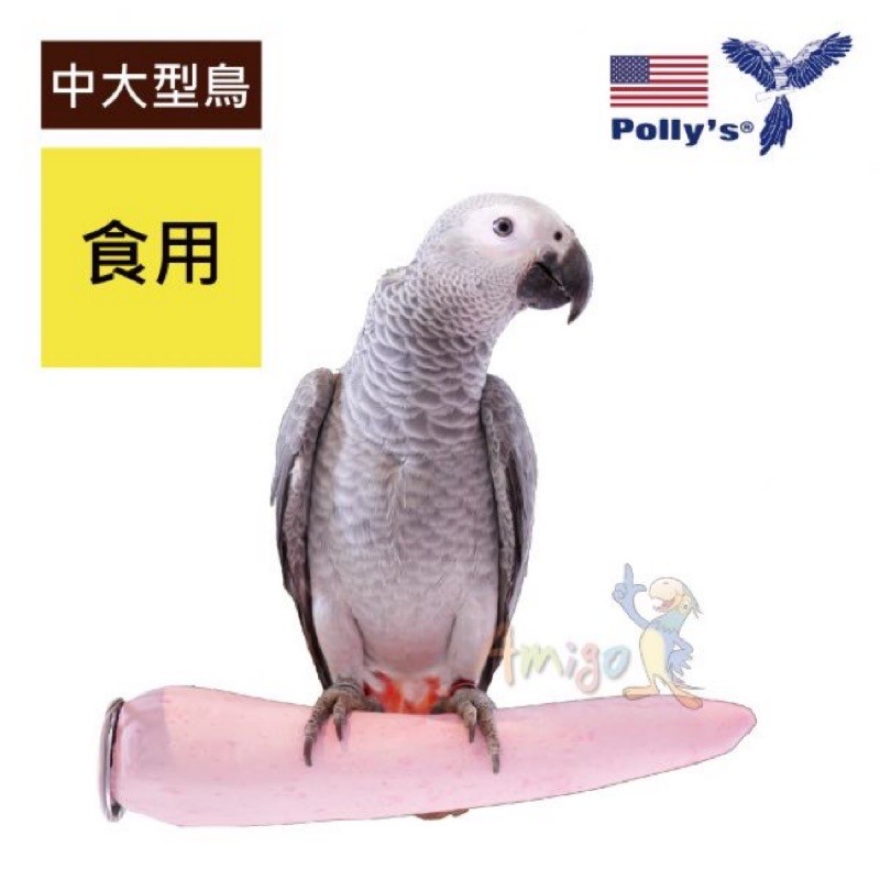 <北站鳥園>（顏色隨機出貨）Amigo阿迷購 / 帕麗Polly＇s / 辣椒棲木（大）-細節圖5