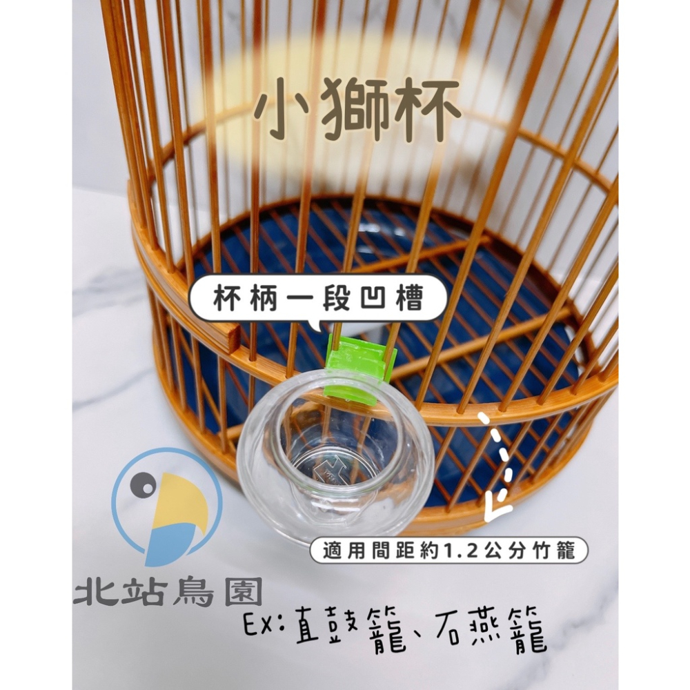 <北站鳥園>勝利牌小獅杯（石燕杯）/ 觀賞鳥、燕科、雀鳥、直鼓籠、石燕籠 / 杯口小減少飼料灑出 / 可任意掛籠子-細節圖2