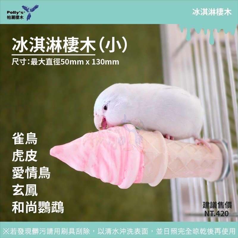 <北站鳥園>Amigo阿迷購 / 帕麗Polly＇s / 冰淇淋棲木（小）-細節圖5