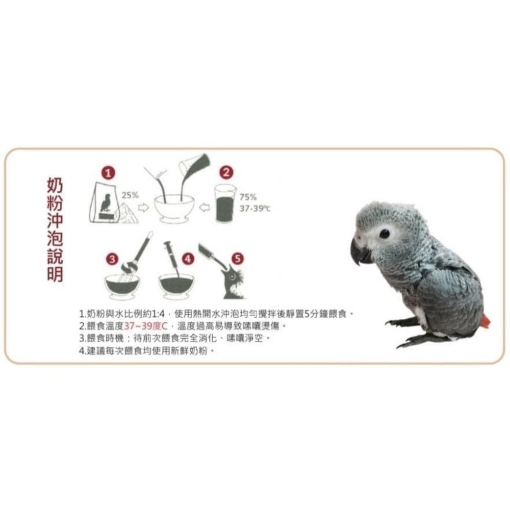 <北站鳥園>帕特PSITTACUS / 第三階段高脂肪鸚鵡奶粉 / 1公斤-細節圖3