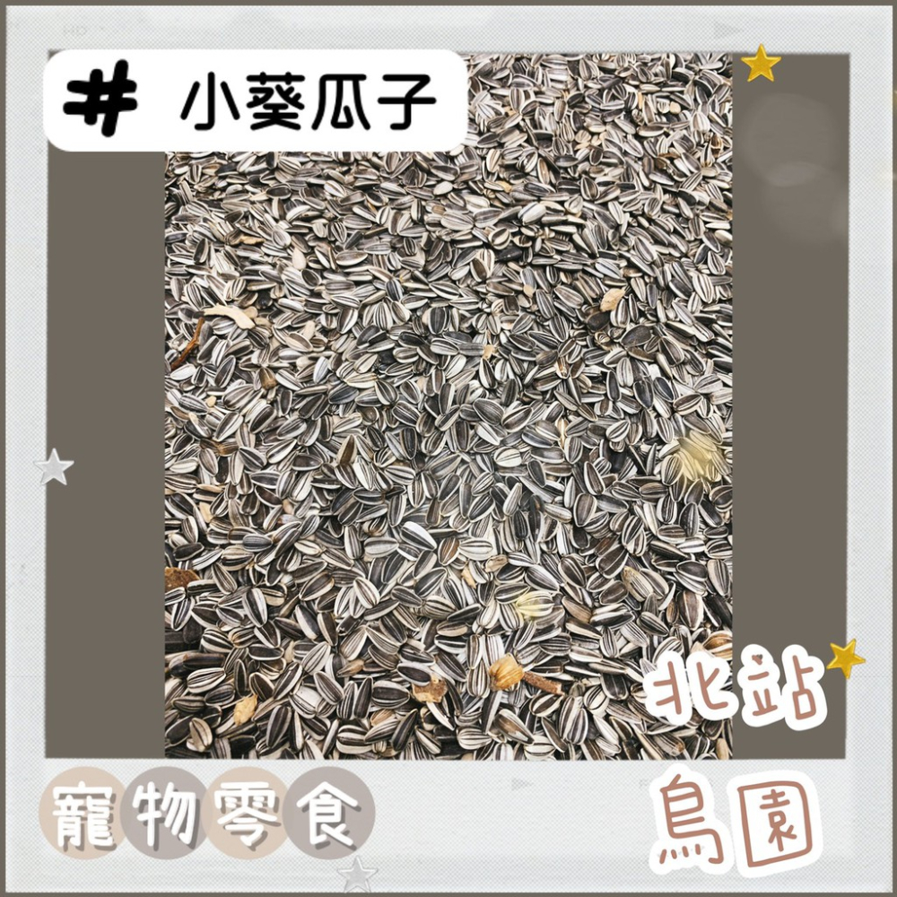 <北站鳥園>小葵瓜子 / 寵物鳥、中小型鸚鵡用、小動物 / 分裝飼料 / 寵物零食、點心 / 訓練獎勵-細節圖4