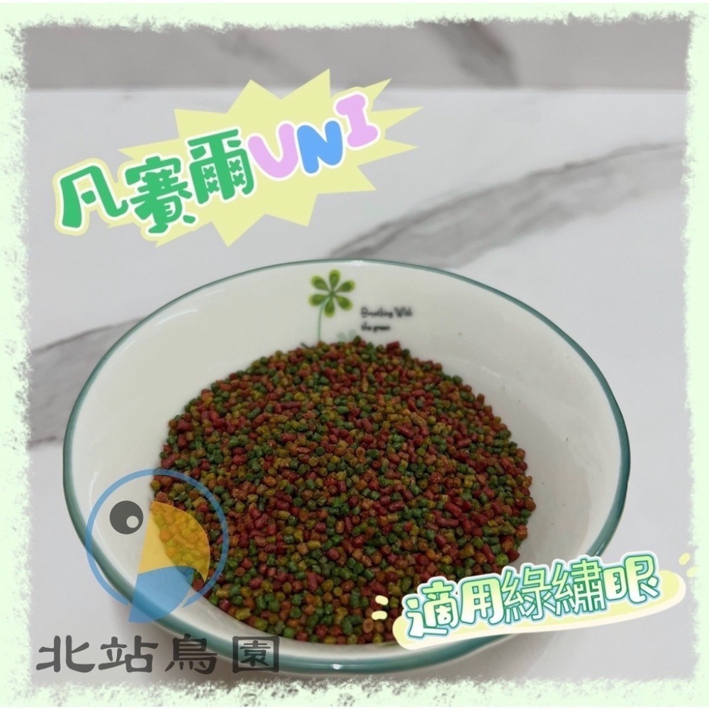 <北站鳥園>凡賽爾UNI 綠繡眼小顆粒 / 小型觀賞鳥、野鳥用-細節圖5