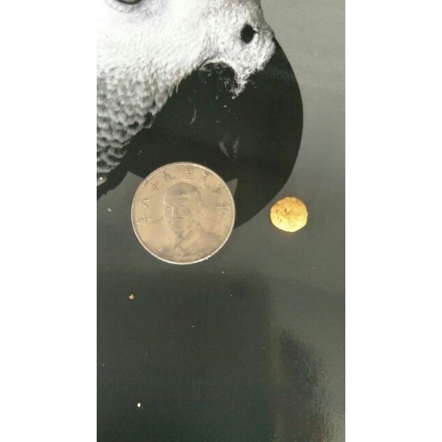 <北站鳥園>帕特PSITTACUS / 中大型鸚鵡專用高蛋白質滋養丸 / 800公克-細節圖5