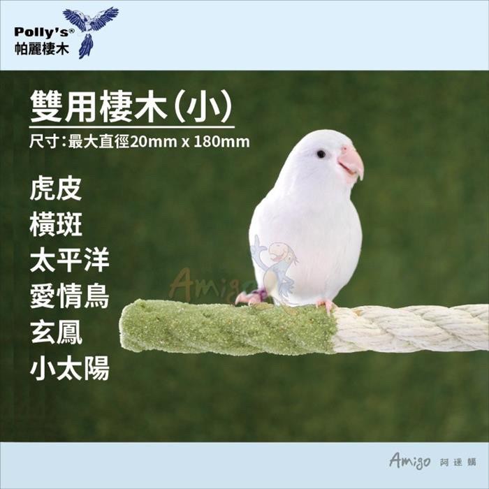 <北站鳥園>（顏色隨機出貨）Amigo阿迷購 / 帕麗Polly＇s / 雙用棲木（小）-細節圖3