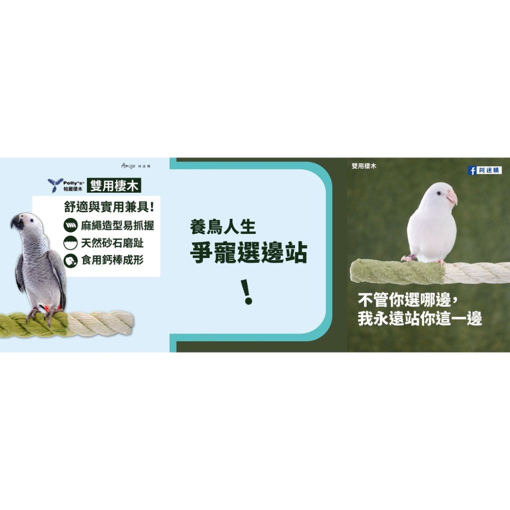 <北站鳥園>（顏色隨機出貨）Amigo阿迷購 / 帕麗Polly＇s / 雙用棲木（大）-細節圖5