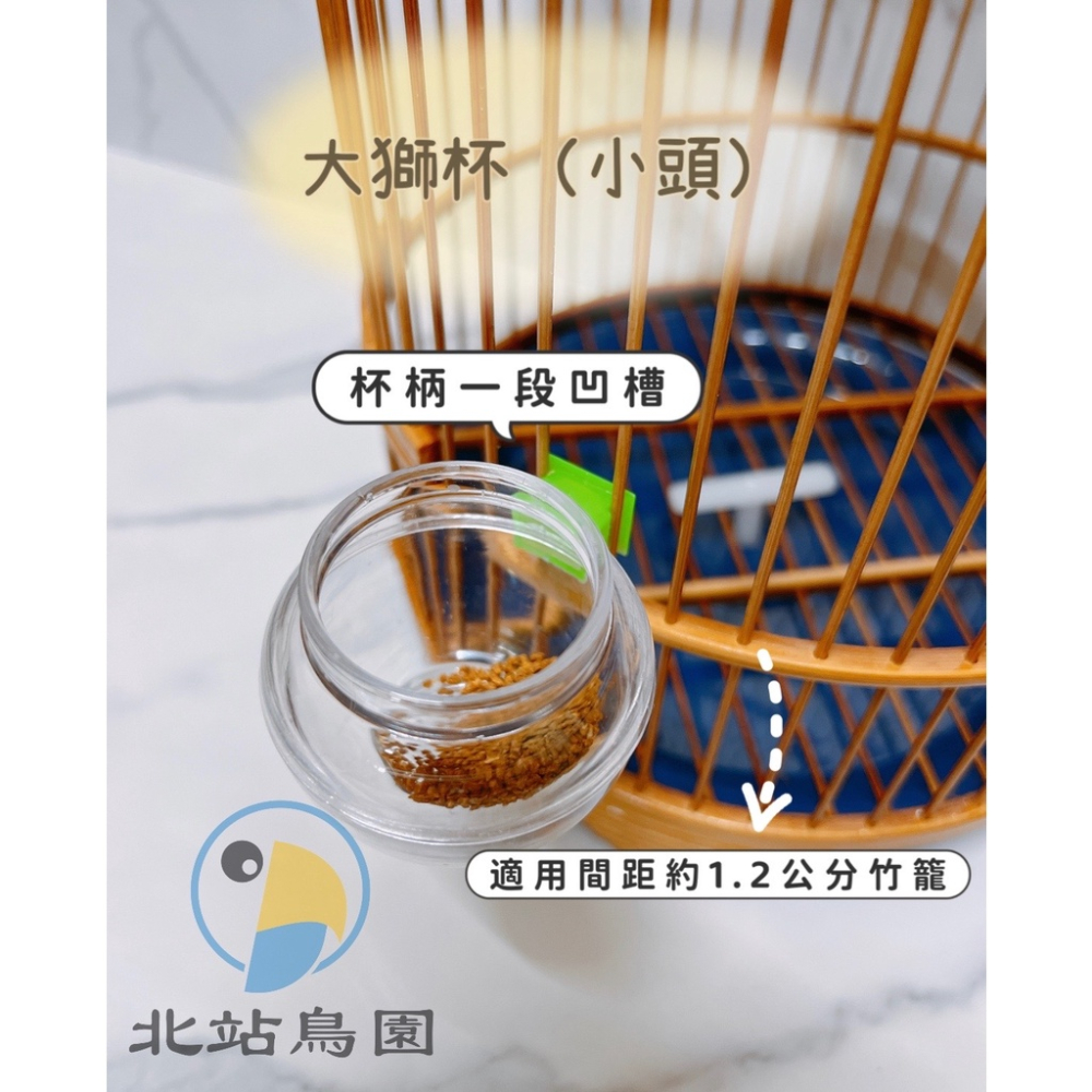 <北站鳥園>勝利牌大獅杯（小頭）/ 雀鳥科、野鳥、觀賞鳥 / 可任意掛籠子、搭配添料湯匙 / 直鼓籠、石燕籠-細節圖2