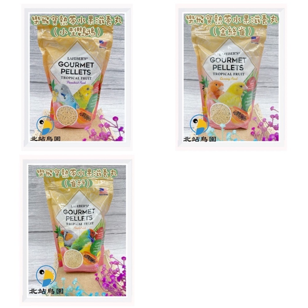 <北站鳥園>樂飛寶熱帶水果滋養丸 / 中型鸚鵡飼料、和尚、金太陽、小太陽、凱克 / 567g-細節圖3