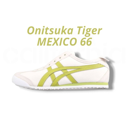 👟Onitsuka Tiger 鬼塚虎-蘋果綠白色 MEXICO 66 休閒鞋 男女通用款