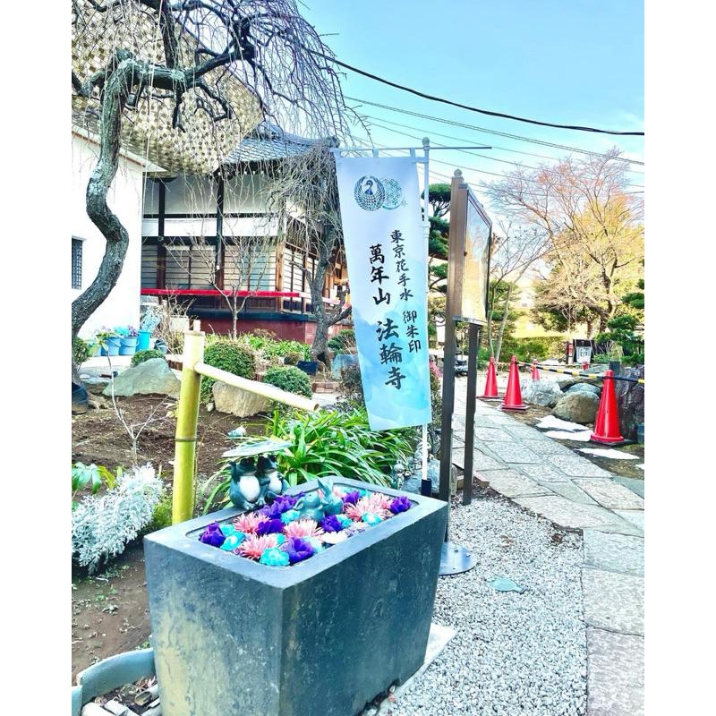 法輪寺 東京花手水 蛇年松竹 朱印帳 御朱印 萬年山 季節限定御朱印 櫻花 紫藤 金木犀 波斯-細節圖4