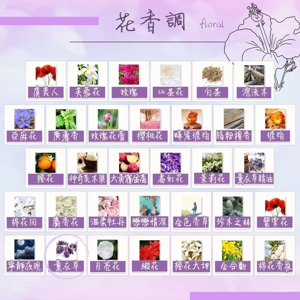 DURANCE 朵昂思 香氛護手組[枕頭香水+護手霜]-多款可選-公司貨-細節圖6