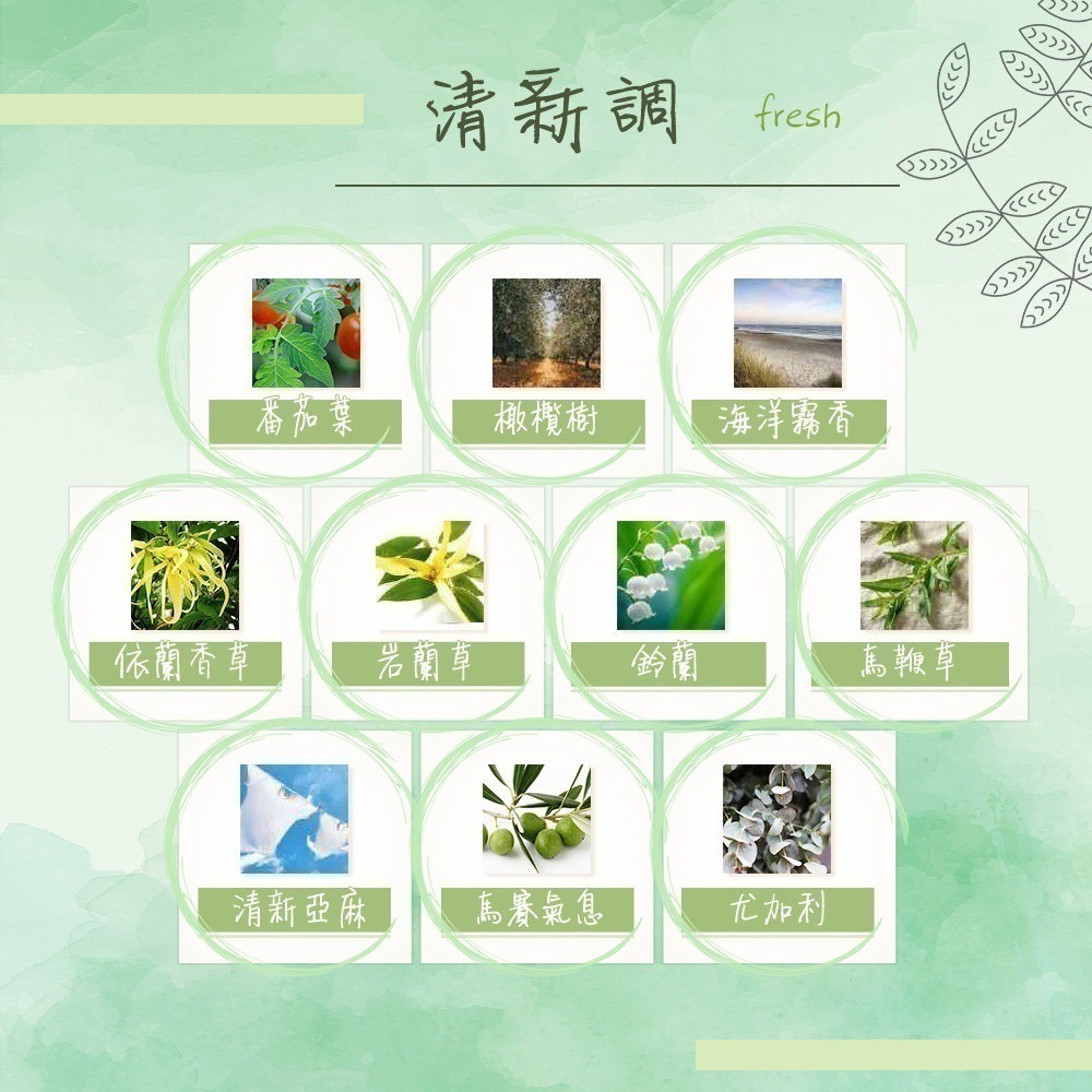 DURANCE 朵昂思 手工精油蠟燭180g-大地系列-公司貨-多款可選-細節圖8