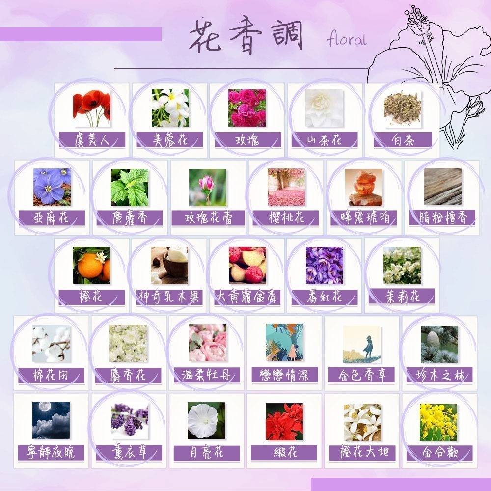 DURANCE 朵昂思 大地擴香組100ml-細節圖9