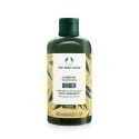 THE BODY SHOP 薑根鏗活調理洗髮精/護髮乳-新版-國際航空版(250ml/400ml)-規格圖5