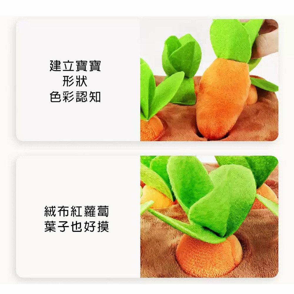 【GCT玩具嚴選】8入寶寶拔蘿蔔遊戲 寶寶玩偶遊戲-細節圖5