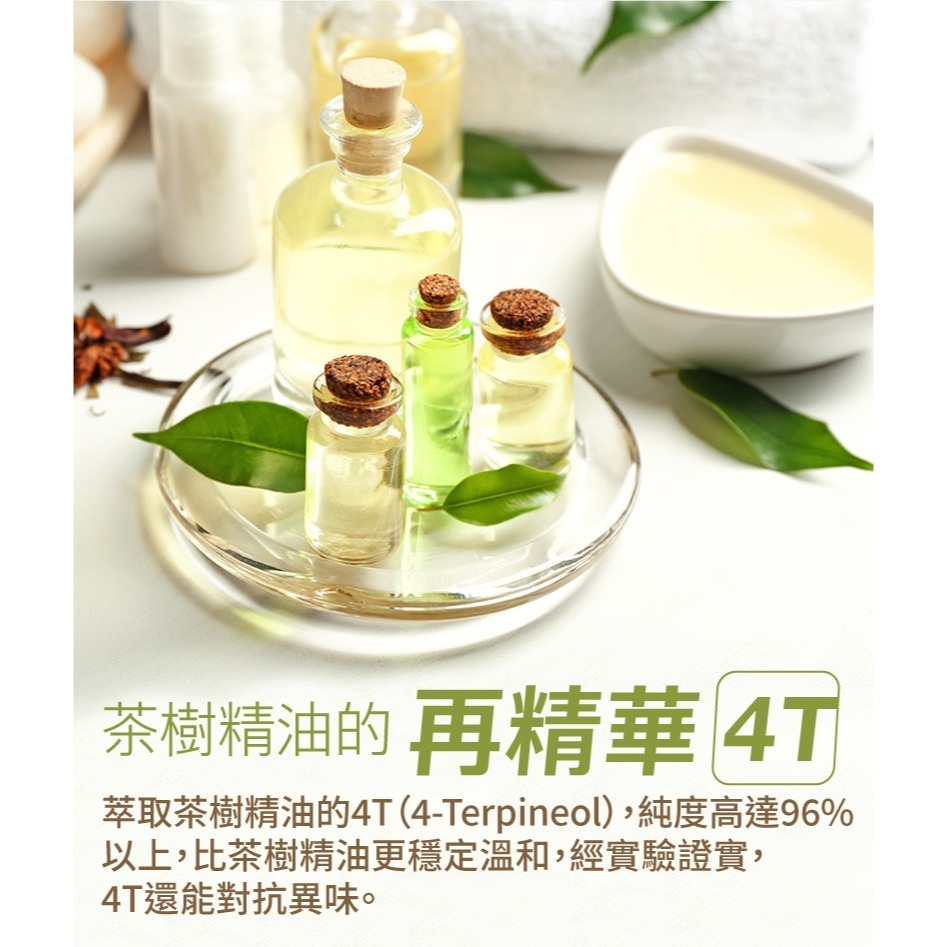 去屑微涼 茶樹4T頭皮養護噴霧100g-細節圖3