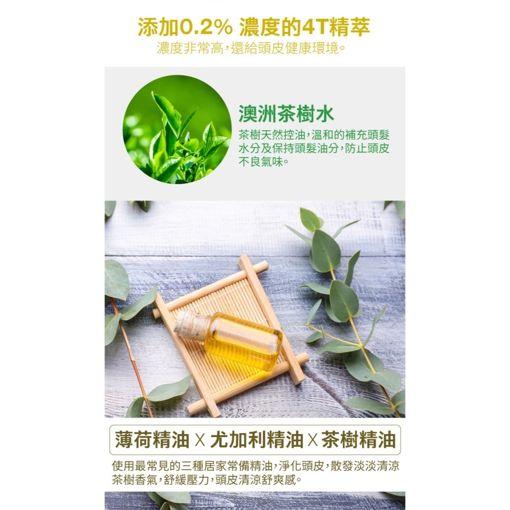 去屑微涼 茶樹4T頭皮養護噴霧100g-細節圖5
