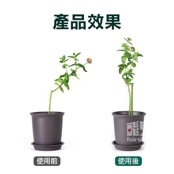 《植物支撐架》防扶倒！促定型！爬藤支撐 植物支架 盆栽支架 園藝支架 多肉支撐 爬藤支架 蝴蝶蘭支架 花卉支架【飛兒】-細節圖4