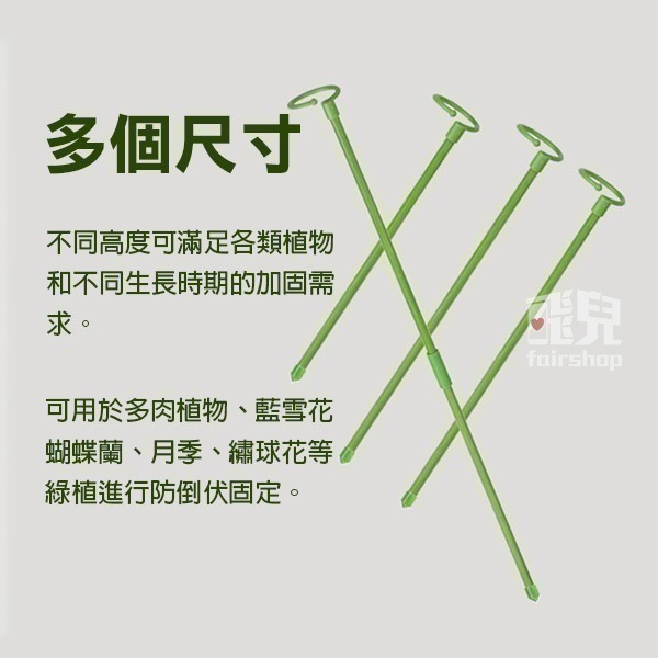 《植物支撐架》防扶倒！促定型！爬藤支撐 植物支架 盆栽支架 園藝支架 多肉支撐 爬藤支架 蝴蝶蘭支架 花卉支架【飛兒】-細節圖5