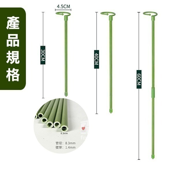 《植物支撐架》防扶倒！促定型！爬藤支撐 植物支架 盆栽支架 園藝支架 多肉支撐 爬藤支架 蝴蝶蘭支架 花卉支架【飛兒】-細節圖9