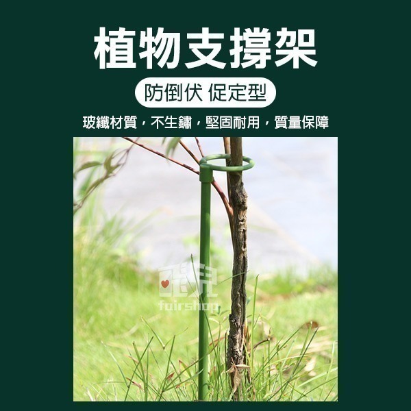 《植物支撐架》防扶倒！促定型！爬藤支撐 植物支架 盆栽支架 園藝支架 多肉支撐 爬藤支架 蝴蝶蘭支架 花卉支架【飛兒】-細節圖2