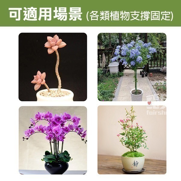 《植物支撐架》防扶倒！促定型！爬藤支撐 植物支架 盆栽支架 園藝支架 多肉支撐 爬藤支架 蝴蝶蘭支架 花卉支架【飛兒】-細節圖6