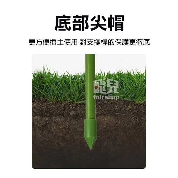 《植物支撐架》防扶倒！促定型！爬藤支撐 植物支架 盆栽支架 園藝支架 多肉支撐 爬藤支架 蝴蝶蘭支架 花卉支架【飛兒】-細節圖8