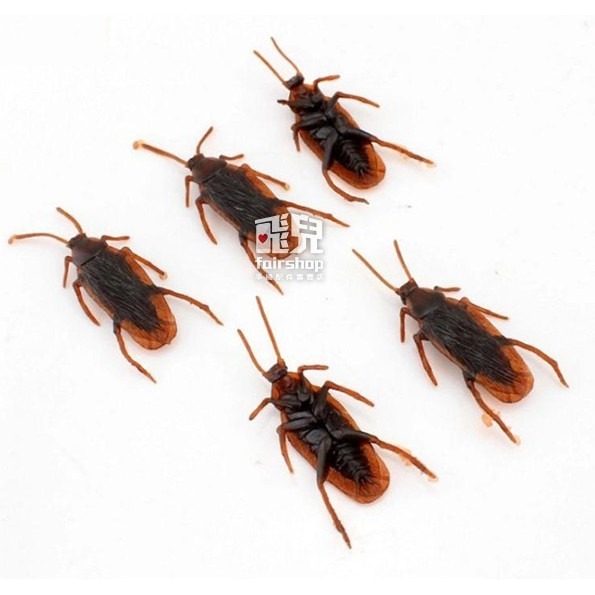 買20送1！蟑螂小強 仿真蟑螂 假蟑螂 道具 整人玩具 嚇人 整人禮物 萬聖節 愚人節 惡作劇 逼真蟑螂【飛兒】23-1-細節圖2
