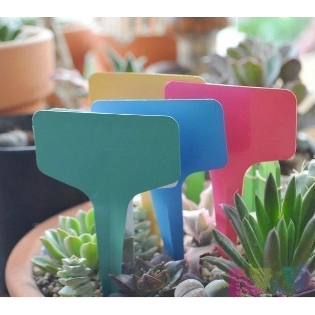 《插地植物T型標籤 5X7/6X10》植物插地牌 植物標籤 園藝標籤 植物名牌 多肉記號牌 迷你標籤 竹木標籤【飛兒】-細節圖6