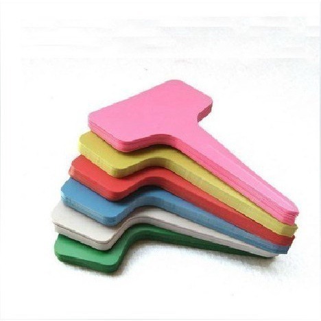 《插地植物T型標籤 5X7/6X10》植物插地牌 植物標籤 園藝標籤 植物名牌 多肉記號牌 迷你標籤 竹木標籤【飛兒】-細節圖7