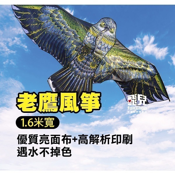 《加大款1.6米寬 老鷹風箏 送100米繩輪》我最亮眼 動物風箏 造型風箏 巨大風箏 親子活動 放電箏 放風 紅/綠/黑-細節圖2