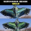 《加大款1.6米寬 老鷹風箏 送100米繩輪》我最亮眼 動物風箏 造型風箏 巨大風箏 親子活動 放電箏 放風 紅/綠/黑-規格圖7