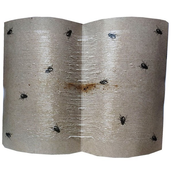 特價！《五先生 綠葉 黏蒼蠅紙板 10張一組》可露營用 黏蠅板 捕蠅板 黏果蠅 黏害蟲 黏蠅紙 捕蠅紙 滅蠅板【飛蝦】-細節圖3