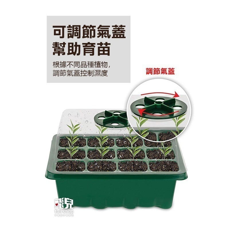《可調節氣蓋育苗盒》育苗盆 育苗盤 育苗盒 育苗箱 培育盆 培育盤 培育盒 培育箱 種子育苗箱 透氣蓋 小溫室【飛兒】-細節圖3