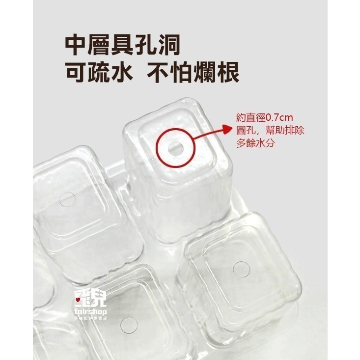 《可調節氣蓋育苗盒》育苗盆 育苗盤 育苗盒 育苗箱 培育盆 培育盤 培育盒 培育箱 種子育苗箱 透氣蓋 小溫室【飛兒】-細節圖5