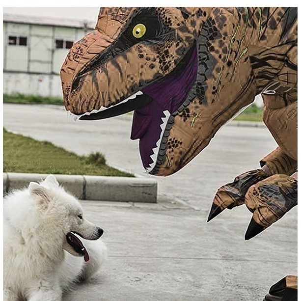 《充氣 霸王龍/綠色恐龍 人偶服》表演恐龍服 卡通裝 人偶裝 暴龍裝 充氣服 霸王龍裝 表演服 抖音衣【飛兒】-細節圖3