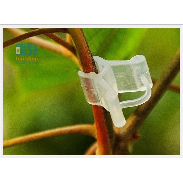 軟質不傷苗《嫁接植物夾》100入 透明嫁接夾 植物嫁接夾 嫁接夾 蘭花嫁接夾 菊花夾 園藝用嫁接夾 育苗扦插 育苗夾 7-細節圖4