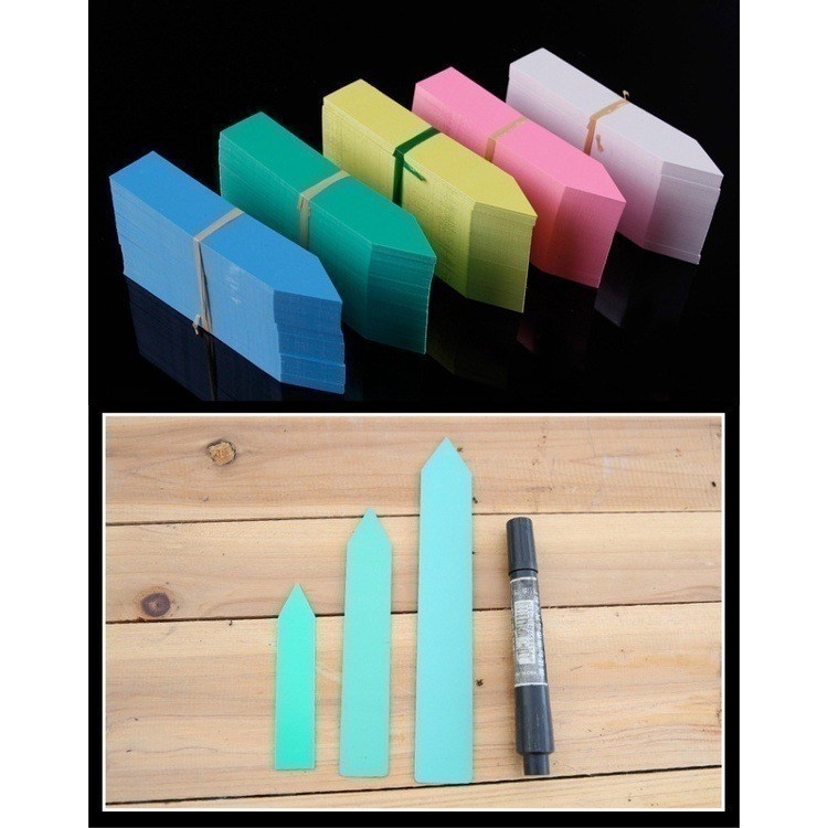 《插地植物一字型標籤》植物插地牌 植物標籤 園藝標籤 植物名牌 多肉記號牌 迷你標籤 竹木標籤 彩色標籤【飛兒】-細節圖4